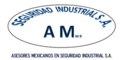 AM Seguridad Industrial